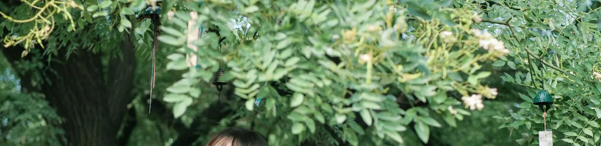 壁纸