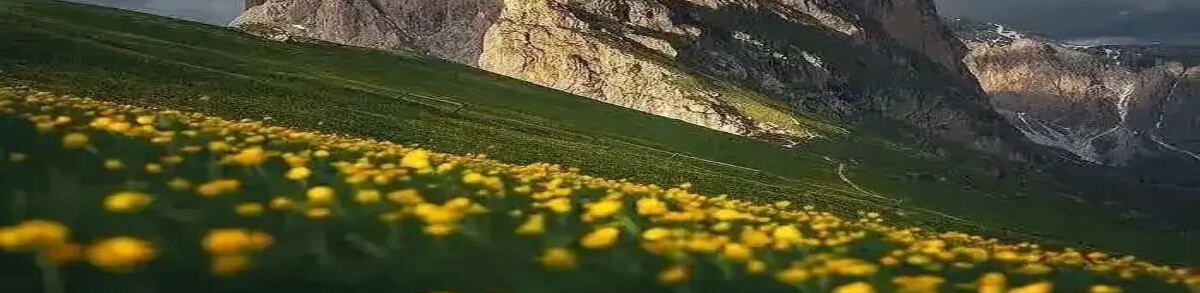壁纸